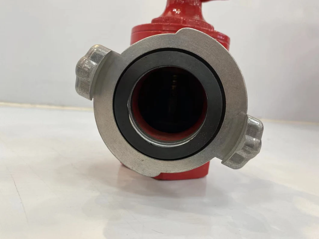 Russia Type Fire Indoor Hydrant Angle Valve