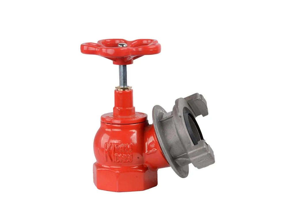 Russia Type Fire Indoor Hydrant Angle Valve