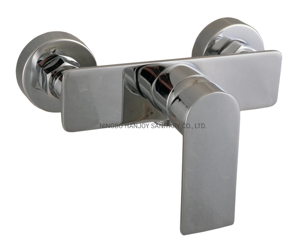 Single Handle Brass Shower Bathroom Faucet (H61-105N)