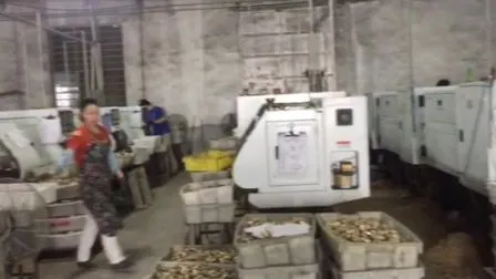 Good Quality Butterfly Handle Cw617n Brass Thread Ball Valve