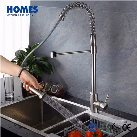 Modern Robinet Cuisin Brass Faucet Kitchen Sink Water Tap with 2 Ways Pull Down out Sprayer