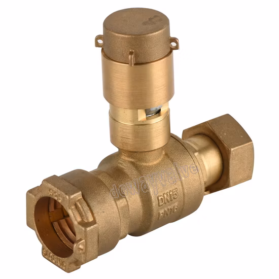 OEM/ODM China Factory Nickle Plated Magnetic Lockable Ball Valve