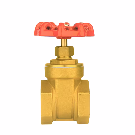Manual Stainless Steel Plumbing Control Cold Water Angle Valve